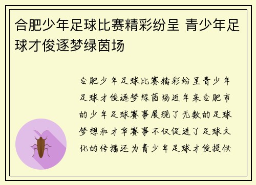 合肥少年足球比赛精彩纷呈 青少年足球才俊逐梦绿茵场