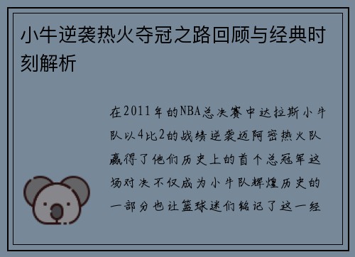 小牛逆袭热火夺冠之路回顾与经典时刻解析