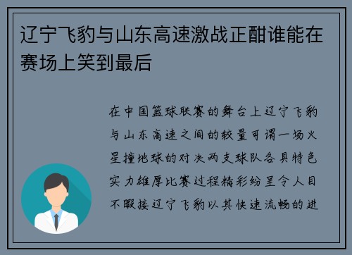 辽宁飞豹与山东高速激战正酣谁能在赛场上笑到最后