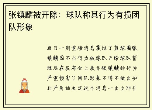 张镇麟被开除：球队称其行为有损团队形象