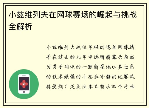 小兹维列夫在网球赛场的崛起与挑战全解析
