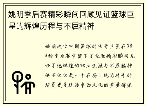 姚明季后赛精彩瞬间回顾见证篮球巨星的辉煌历程与不屈精神